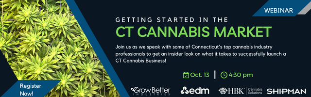 header for Getting Started in the CT Cannabis Market webinar