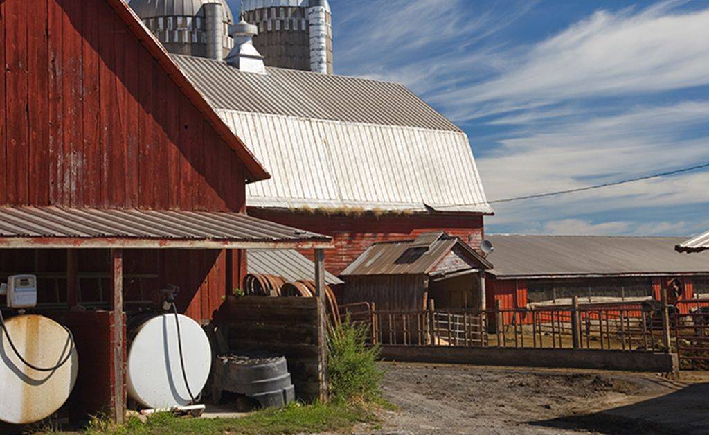 Homepage Shipman & Goodwin LLP