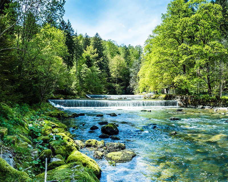 Chelsea C. McCallum Shipman & Goodwin LLP™