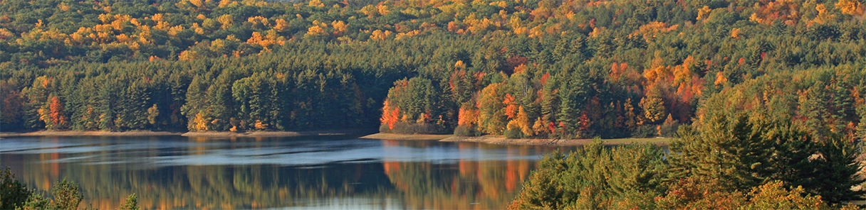 stock image of lake with fall foliage
